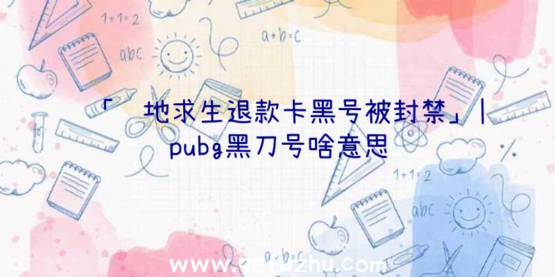 「绝地求生退款卡黑号被封禁」|pubg黑刀号啥意思